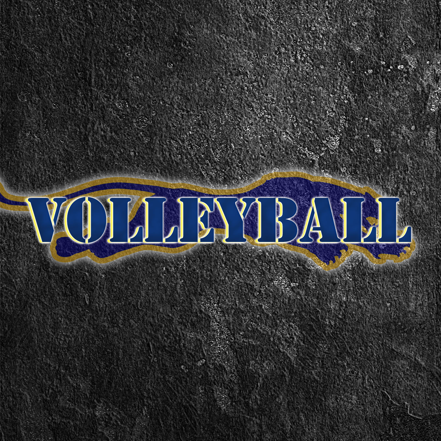 Volleyball WP